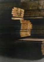 Bois de chêne disposé dans le hangar à bois